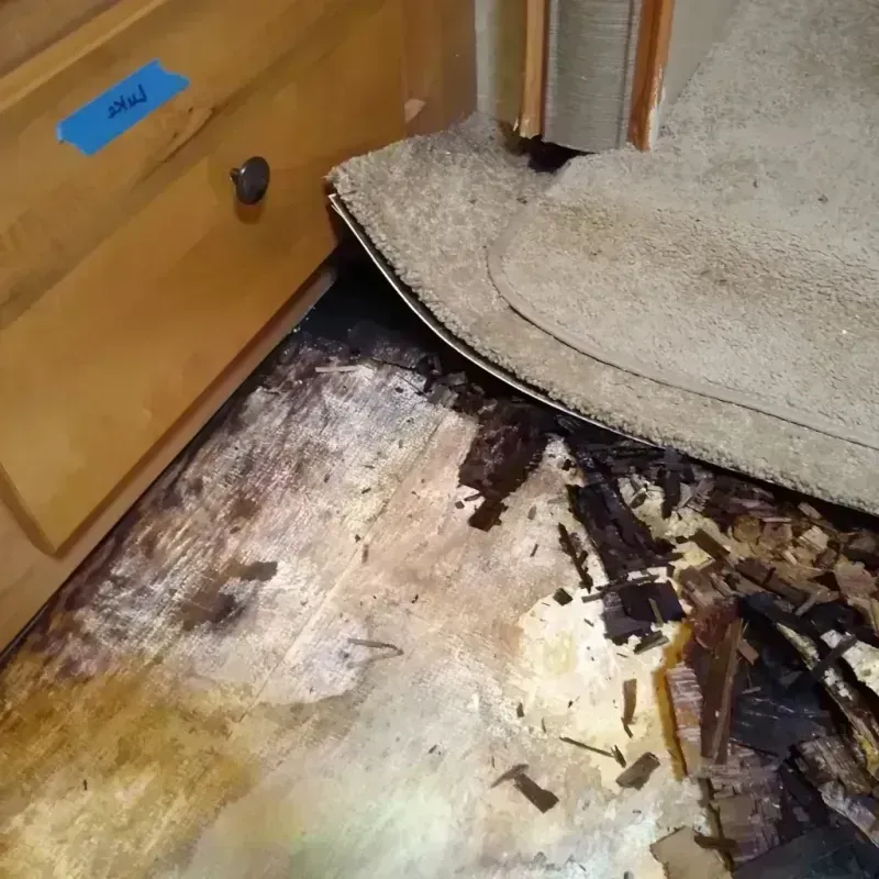 Best Wood Floor Water Damage Service in Cabot, AR